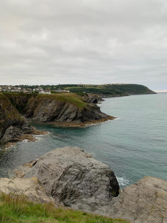 فيلا Wild Coastal Retreat At Troed Y Rhiw Aberporth, West Wales المظهر الخارجي الصورة