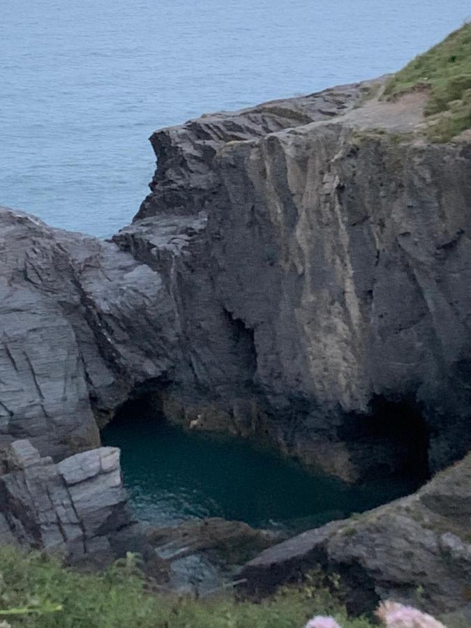 فيلا Wild Coastal Retreat At Troed Y Rhiw Aberporth, West Wales المظهر الخارجي الصورة