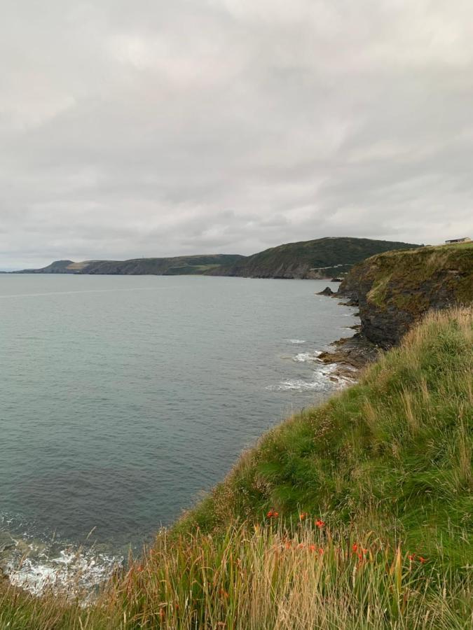 فيلا Wild Coastal Retreat At Troed Y Rhiw Aberporth, West Wales المظهر الخارجي الصورة