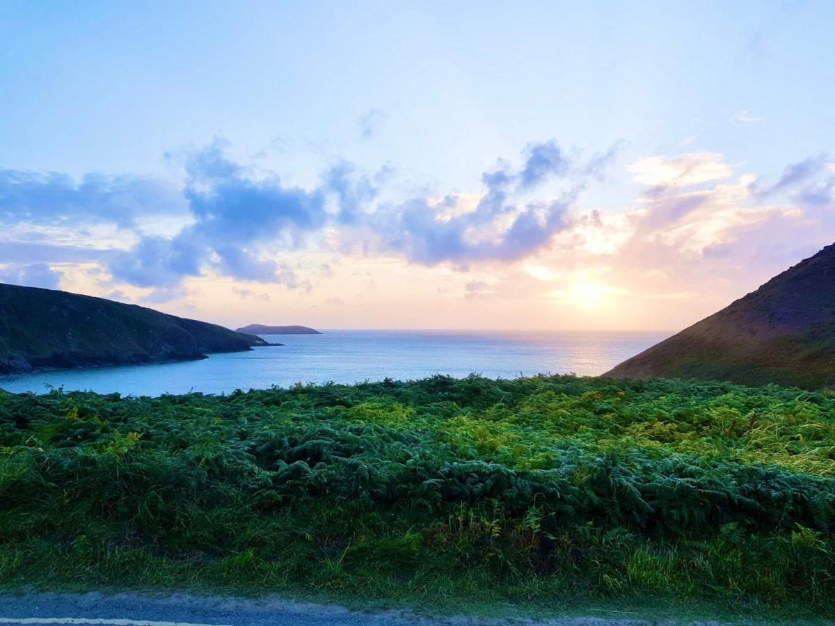 فيلا Wild Coastal Retreat At Troed Y Rhiw Aberporth, West Wales المظهر الخارجي الصورة